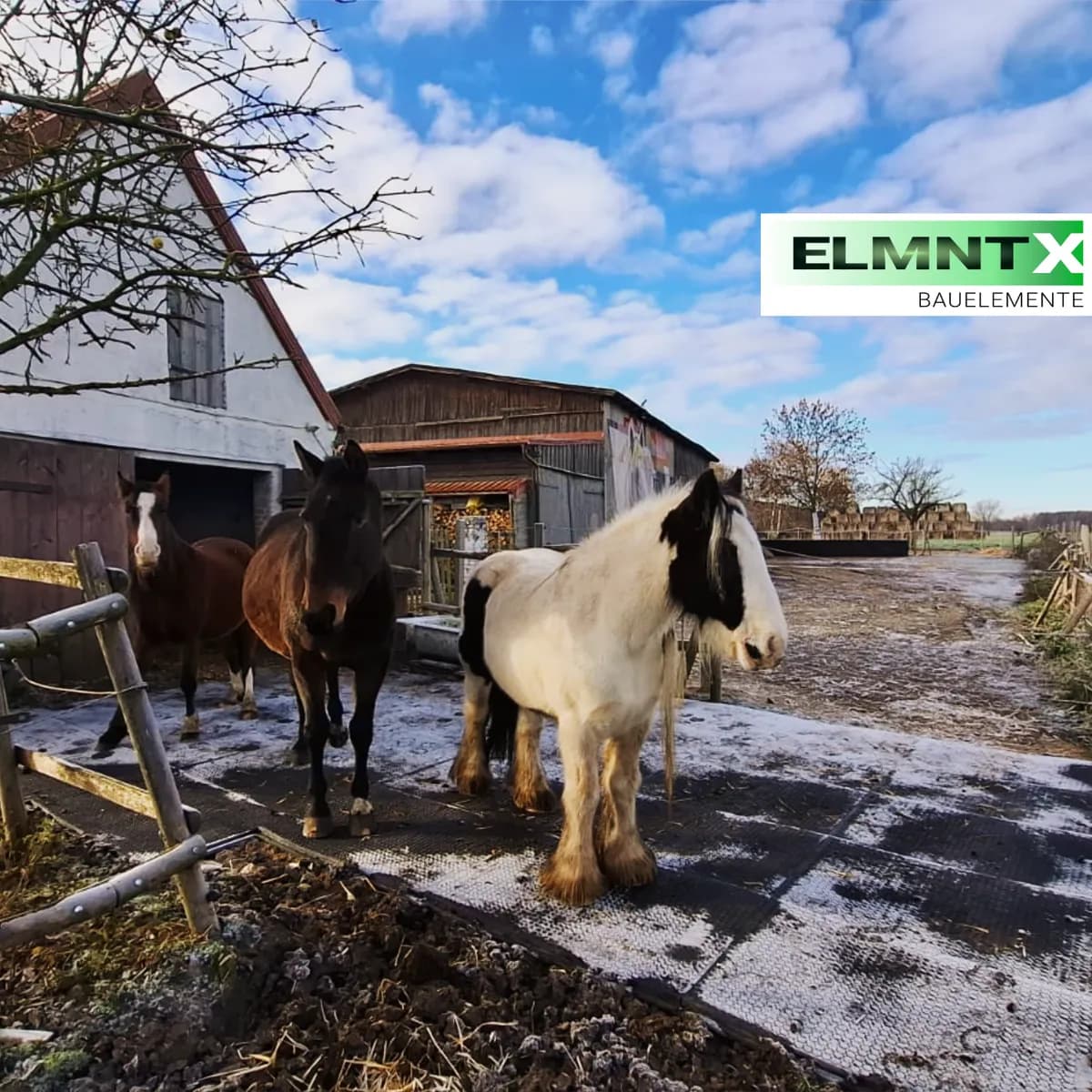 Paddockplatte 50×50 cm | 55 mm 1